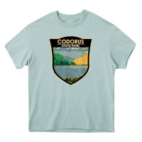 Arona codorus state park pennsylvania badge vintage Heavy Core Tee - linhVisuals