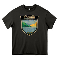 Asphalt codorus state park pennsylvania badge vintage Heavy Core Tee - linhVisuals