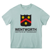Arona wentworth standard Heavy Core Tee - linhVisuals