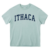 Arona ithaca new york ny vintage sports design navy design t shirt Heavy Core Tee - linhVisuals