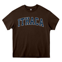 Ithaca New York Ny Vintage Sports Design Navy Design T Shirt Heavy Core Tee | Teevron