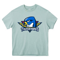 Arona the thunderbirds springfield Heavy Core Tee - linhVisuals