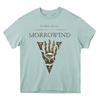 Arona morrowind Heavy Core Tee - linhVisuals