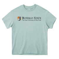 Arona SUNY Buffalo State College Heavy Core Tee - linhVisuals