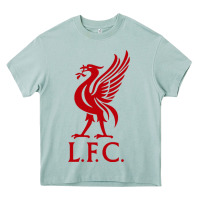 Arona LIVERPOOL TEAM Heavy Core Tee - linhVisuals