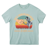 Arona best weimaraner mom ever mom gift mother's day Heavy Core Tee - linhVisuals