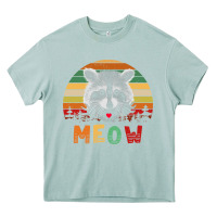 Arona funny vintage raccoon meow raccoon lovers Heavy Core Tee - linhVisuals