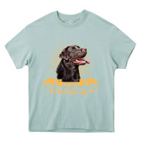 Arona labrador retriever team chocolate lab funny Heavy Core Tee - linhVisuals