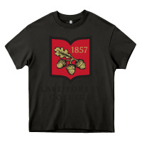 Asphalt Lake Forest College Heavy Core Tee - linhVisuals