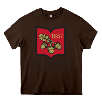 Lake Forest College Heavy Core Tee | Teevron