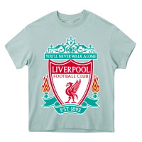 Arona the-liverpool-pen Heavy Core Tee - linhVisuals