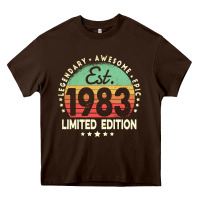 Est. 1983 Vintage 1983 Limited Edition 39th Birthday Retro Pullover Ho Heavy Core Tee | Teevron