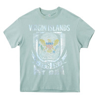 Arona virgin islands virgin islander Heavy Core Tee - linhVisuals