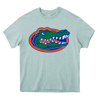 Arona go florida gators football Heavy Core Tee - linhVisuals