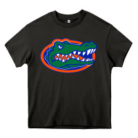 Asphalt go florida gators football Heavy Core Tee - linhVisuals