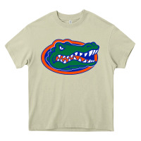 Go Florida Gators Football Heavy Core Tee | Teevron