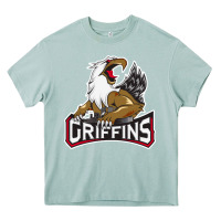 Arona grand rapids griffins Heavy Core Tee - linhVisuals