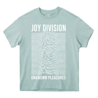 Arona JOY DIVISION - UNKNOWN PLEASURES Heavy Core Tee - linhVisuals