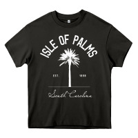 Asphalt isle of palms sc palm tree isle of palms beach gift pullover hoodie Heavy Core Tee - linhVisuals