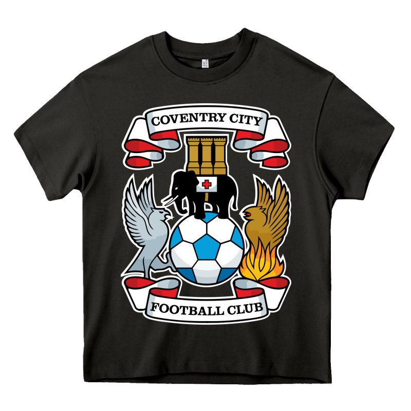 Coventry-city-fc Heavy Core Tee by linhVisuals | Teevron