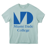 Arona miami dade college Heavy Core Tee - linhVisuals