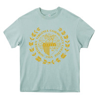 Arona northern virginia community college Heavy Core Tee - linhVisuals