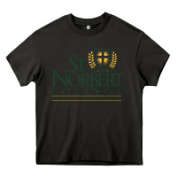 Asphalt St. Norbert College Heavy Core Tee - linhVisuals