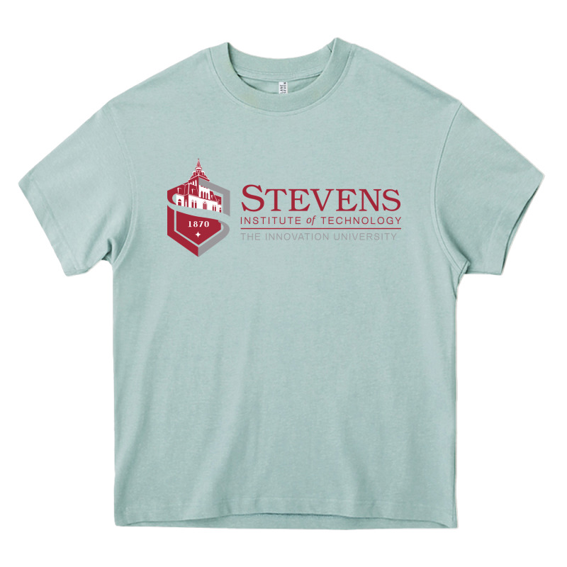 Stevens Institute Of Technology Heavy Core Tee by linhVisuals | Teevron