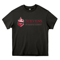 Asphalt Stevens Institute of Technology Heavy Core Tee - linhVisuals