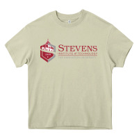 Mossy Stevens Institute of Technology Heavy Core Tee - linhVisuals