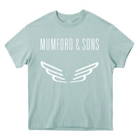 Arona mumford and sons merch Heavy Core Tee - linhVisuals