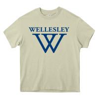Mossy Wellesley College Heavy Core Tee - linhVisuals