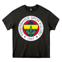 Asphalt fenerbahçe Heavy Core Tee - linhVisuals