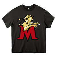 Asphalt molloy merch Heavy Core Tee - linhVisuals