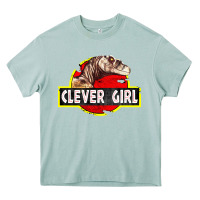 Arona clever girl Heavy Core Tee - linhVisuals