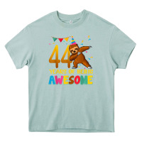 Arona 44 years old birthday sloth dabbing 44th birthday sloth Heavy Core Tee - linhVisuals
