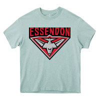 Arona essendon fc Heavy Core Tee - linhVisuals