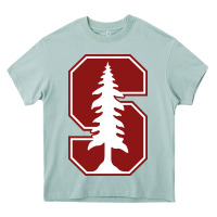 Arona stanford cardinal Heavy Core Tee - linhVisuals
