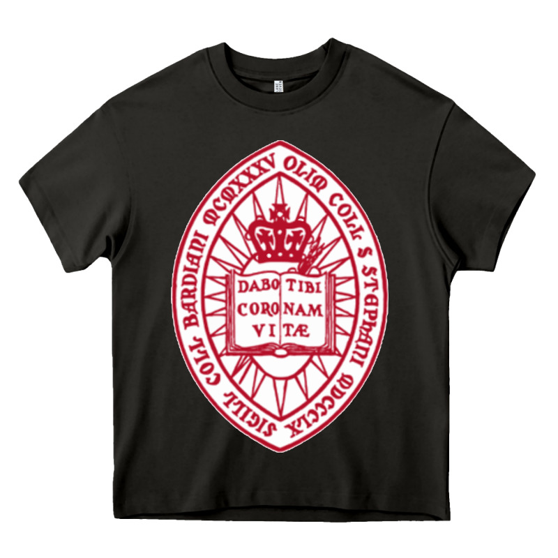 Bard College Heavy Core Tee by linhVisuals | Teevron