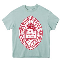 Arona bard college Heavy Core Tee - linhVisuals