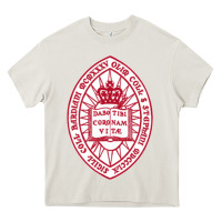Cream bard college Heavy Core Tee - linhVisuals