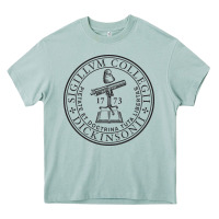 Arona dickinson college Heavy Core Tee - linhVisuals