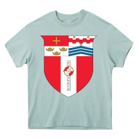 Arona Rensselaer Polytechnic Institute Heavy Core Tee - linhVisuals
