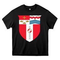 Black Rensselaer Polytechnic Institute Heavy Core Tee - linhVisuals