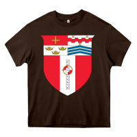 Rensselaer Polytechnic Institute Heavy Core Tee | Teevron
