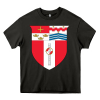 Asphalt Rensselaer Polytechnic Institute Heavy Core Tee - linhVisuals