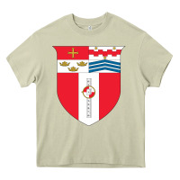 Mossy Rensselaer Polytechnic Institute Heavy Core Tee - linhVisuals