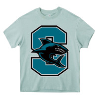 Arona santiago high school Heavy Core Tee - linhVisuals