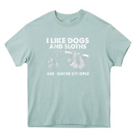 Arona i like dogs and sloths and maybe 3 people funny animals Heavy Core Tee - linhVisuals