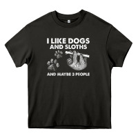 Asphalt i like dogs and sloths and maybe 3 people funny animals Heavy Core Tee - linhVisuals